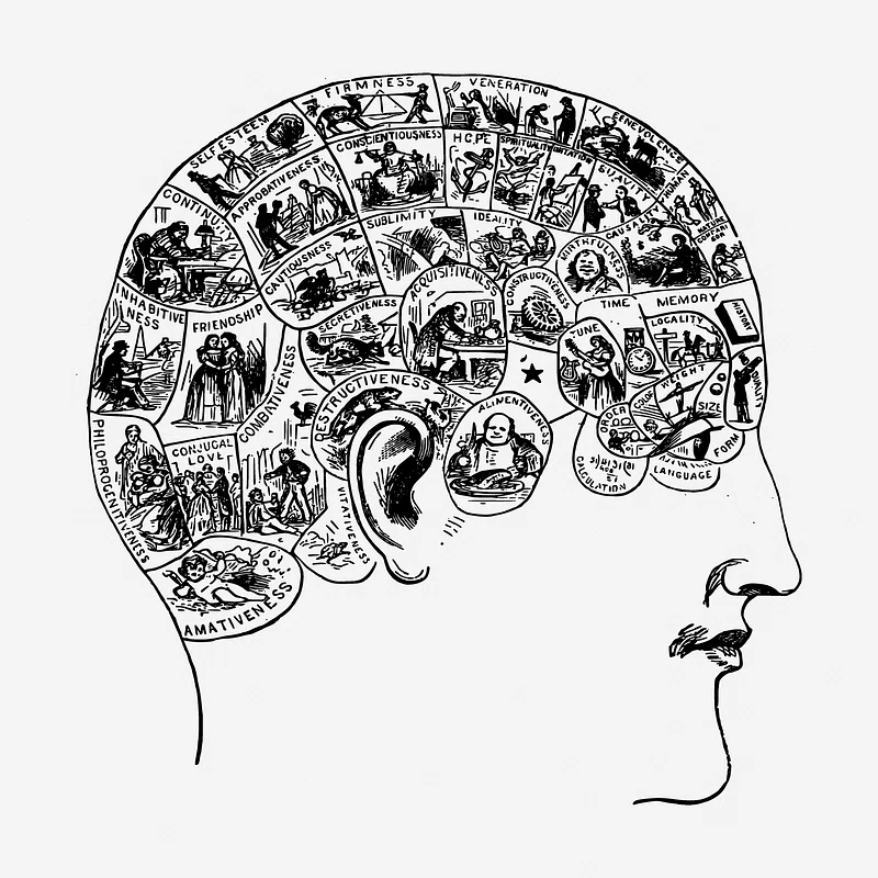 Psychology Fields
